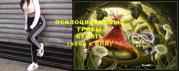 PSILOCYBIN Баксан