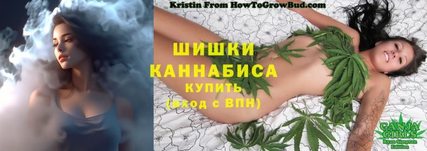 PSILOCYBIN Баксан