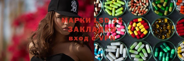 PSILOCYBIN Баксан
