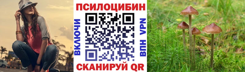Галлюциногенные грибы MAGIC MUSHROOMS  ОМГ ОМГ ссылка  Шагонар  цена  